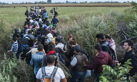 Crise Migratoria Na Europa - Europa militariza fronteiras frente à crise migratória - Jornal O Globo
