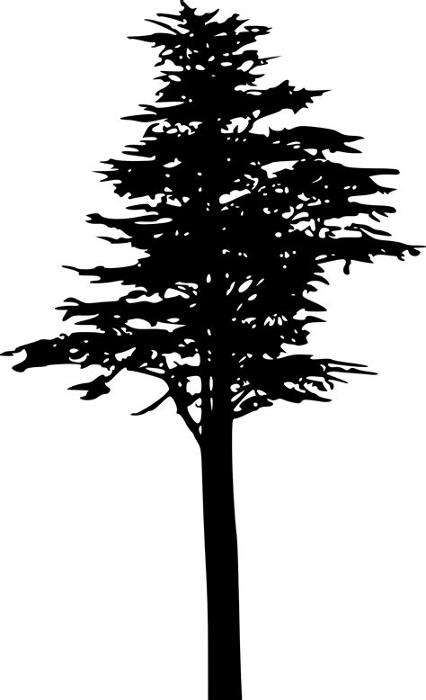 Pine Tree Silhouette Clip Art Pine Tree Png Download 12672000 Images