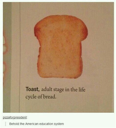 Toast Meme By ArianaGrande Memedroid