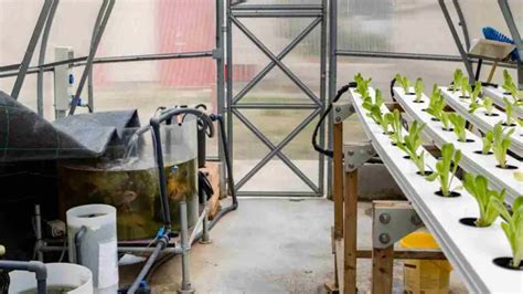 Diy Water Chiller Hydroponics Keep Your System Cool