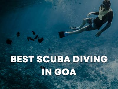 Best Scuba Diving In Goa by Explore Watersports on Dribbble