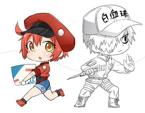 Cells At Work Anime Chibi Drawings