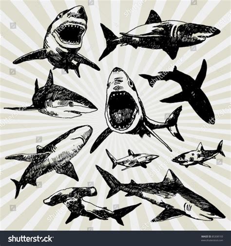 32,382 Shark Silhouette Images, Stock Photos & Vectors | Shutterstock