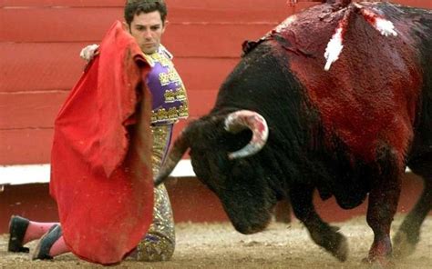 La Corrida En France Une Tradition De Près De 170 Ans Qui Résiste La