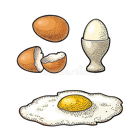 Uova Fritte E Conchiglia Rotta Disegno A Mano Illustrazione Vettoriale