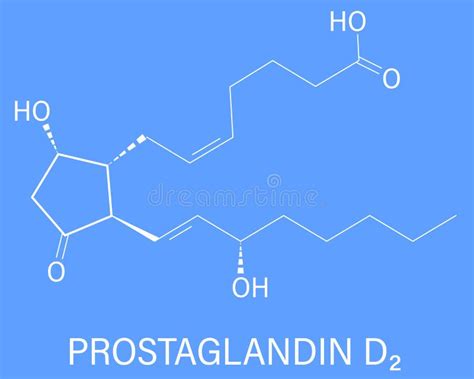 Prostaglandin D Pgd Molecule Skeletal Formula Stock Vector