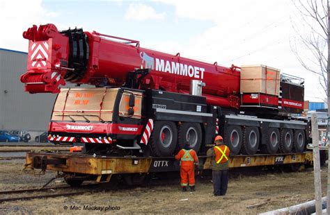 Truckfax: Fresh in - another Mammoet crane