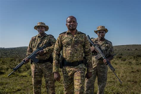 Poaching Surges In The Birthplace Of White Rhino Conservation South