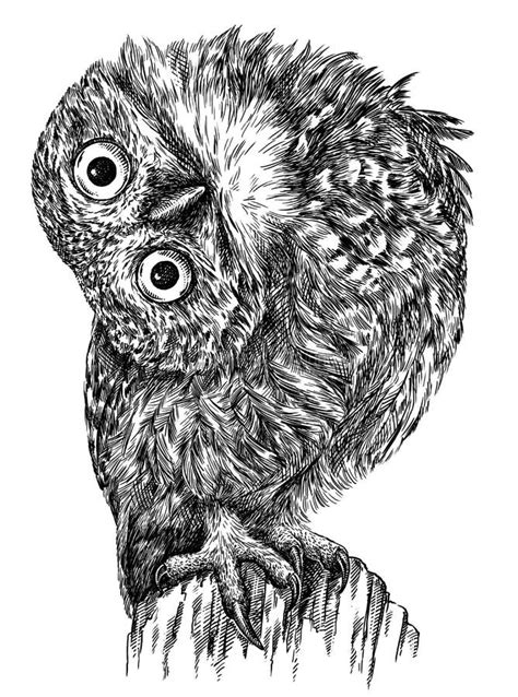 Black And White Engrave Isolated Owl Illustration Stock Illustration