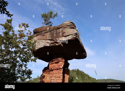 Pf Lzer Wald Teufelstisch Fotos Und Bildmaterial In Hoher Aufl Sung