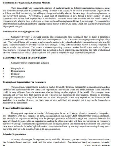 Demographic Market Segmentation - Examples, Format, PDF