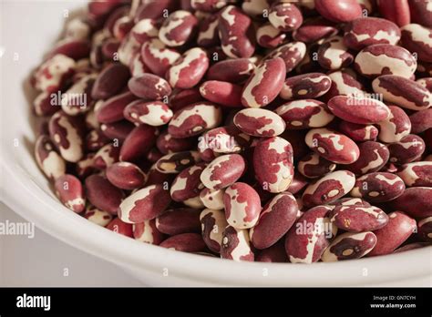 Dried Anasazi Beans A Traditional Native American Food From Arizona