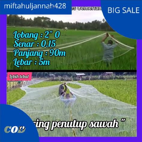 Jual Jaring Emprit Jaring Sawah Petani Senar Lebih Tebal