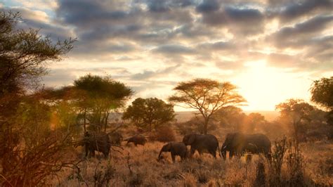 Quand Partir En Tanzanie Bons Plans Et Voyage En Tanzanie