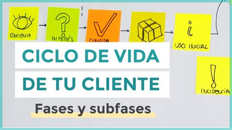 Define El Ciclo De Vida De Tu Cliente Y Crea Un Servicio M S Atractivo