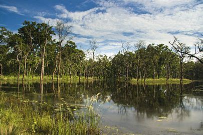 Bharatpur, Nepal - Wikipedia