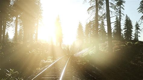 Sunbeam Over A Path In A Dark Forest Background A Photo Of A Road In A