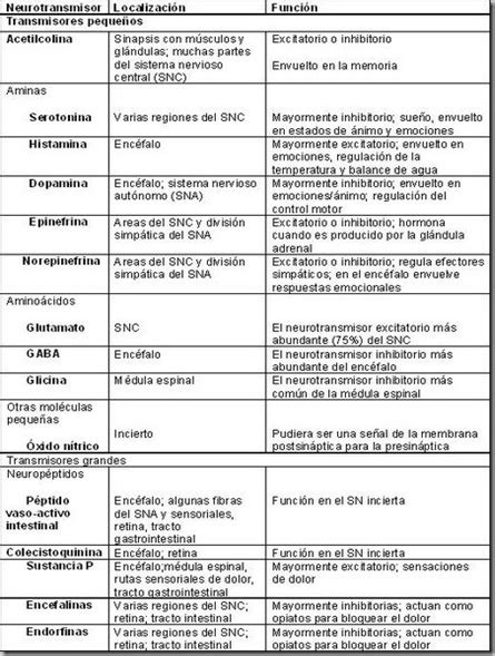 Neurotransmisores