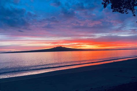 Shift from UK to NZ proves the right move for cyber experts