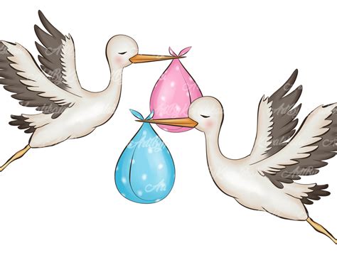 Stork Clipart, Stork PNG, Baby Shower Clipart, Digital Download - Etsy