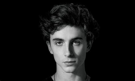 Timothée Chalamet in talks to play Bob Dylan in new biopic 'Going Electric'