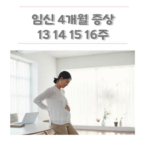 임신 4개월 증상 13주 14주 15주 16주 임신 중기 배크기 네이버 블로그