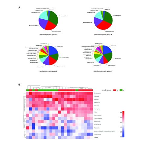 Taxonomic Composition Of The Salivary Microbiome A The Predominant