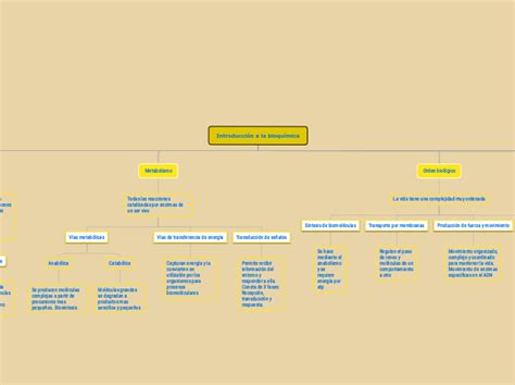 Introducci N A La Bioqu Mica Mind Map