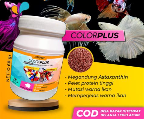 Pelet Pakan Ikan Cupang COLORPLUS Nemo Koi Guppy Gupy Makanan Ikan