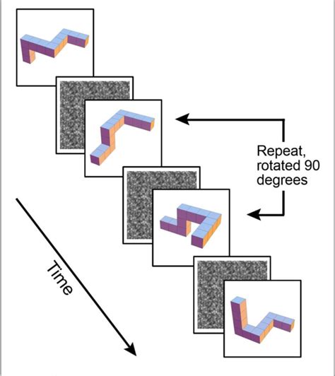 Figure From Mapping Of The Underlying Neural Mechanisms Of