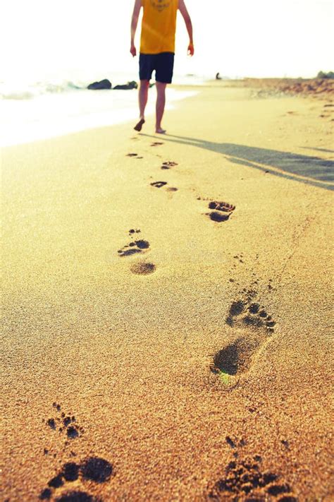 Man walking on the beach stock photo. Image of activity - 9144750