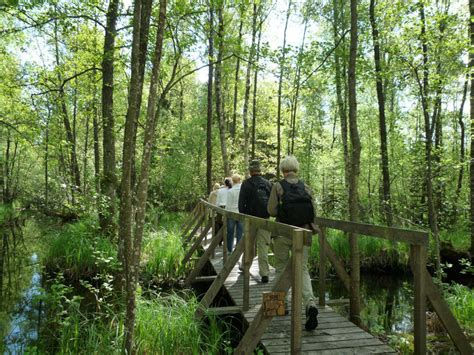 Hiking in Valle - Valle Camping AB