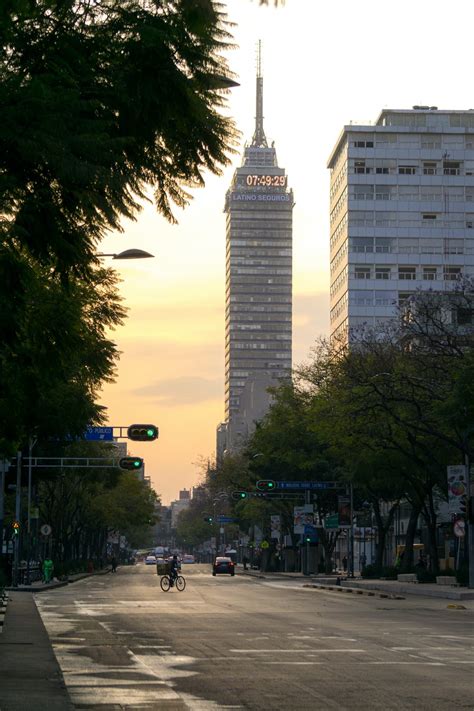 Green Trees On Street Near High Rise Building · Free Stock Photo