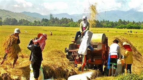 Limang Taong Proyekto Na Magpapalakas Ng Produksyon Ng Produktong Pang