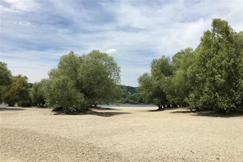 kisoroszi latnivalok programok erdekessegek  love dunakanyar