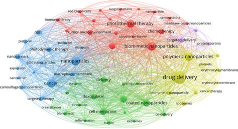 Biomimetic Nano Drug Delivery System Ijn