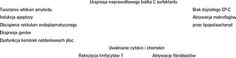 Mechanisms underlying pulmonary lesions associated with surfactant ...