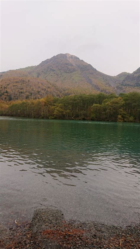 大正池～徳澤園🌥️🍁2019 10 27 槍ヶ岳・穂高岳・上高地の写真2枚目 大正池の枯れ木も寿命で倒木～毎年景観が変 Yamap