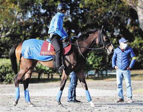 【桜花賞】アカイトリノムスメは「440キロ前半位あまり馬体重は気にしなくてもいいと思う」母アパパネの桜花賞時は480キロ：中日スポーツ・東京