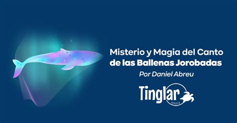 Misterio Y Magia Del Canto De Las Ballenas Jorobadas Revista Tinglar