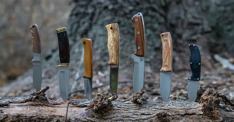 Top 5 Best Hunting Knife Reviews & Comparison 2024