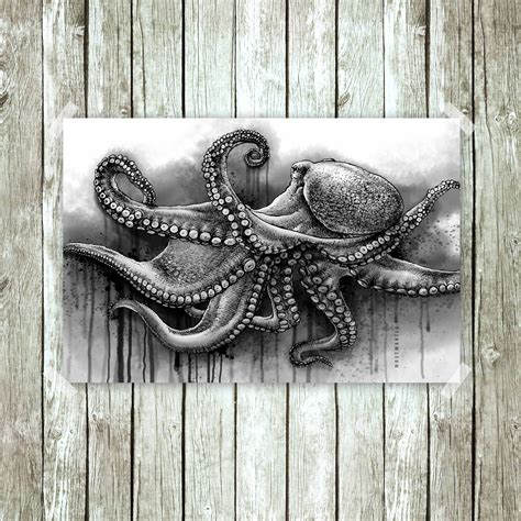 Octopus Black And White Drawing