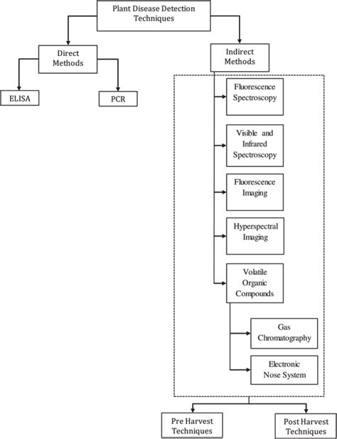 Different methods of plant disease detection. | Download Scientific Diagram