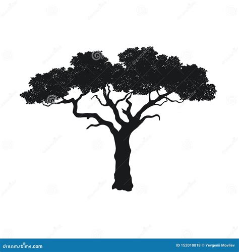 African Tree Icon Acacia Tree Silhouette Icon With Scuffed Effect