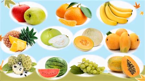 Kinds Of Fruits For Kids