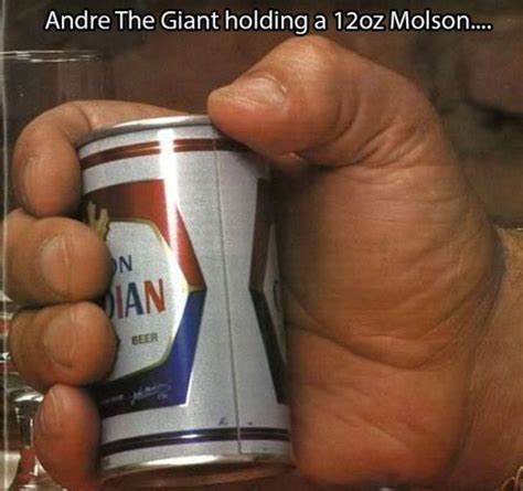 20 Astonishing Photos Of Andre The Giant