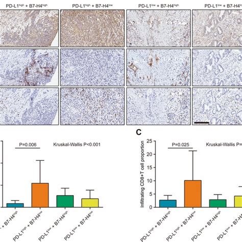 The Predictive Value Of Pd L B H Classifier In Predicting Cd Tils