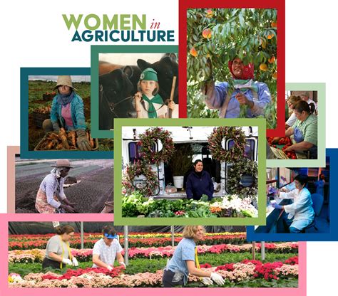 International Womens Day Recognizing Women In Agriculture Cdfas