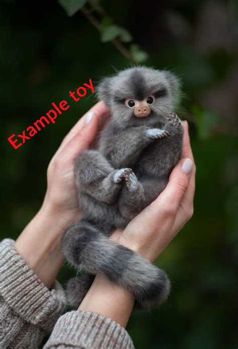 Made To Order Marmoset Monkey Realistic Stuffed Toy Etsy