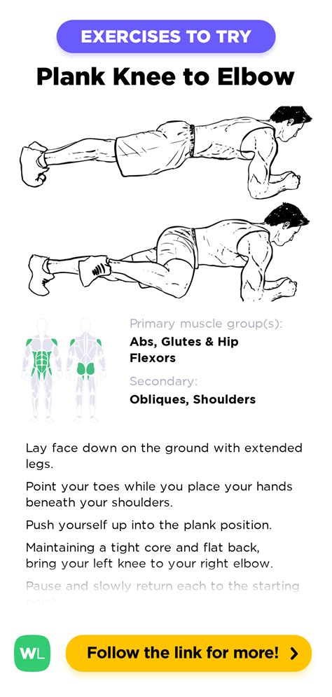 Plank Knee to Elbow – WorkoutLabs Exercise Guide